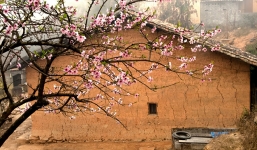 Dự báo thời tiết dịp Tết Nguyên đán Kỷ Hợi trên 3 miền cả nước