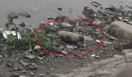 Tin tức thời sự 24h mới nhất, nóng nhất ngày 3/1/2019