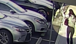 Clip khách quỵt tiền tháo chạy và cán chết chủ tiệm làm móng gốc Việt