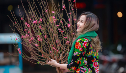 Thời tiết miền Bắc dịp Tết Nguyên đán Kỷ Hợi 2019