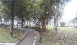 Vụ án mạng ở vườn hoa Hà Đông: Tung lực lượng tinh nhuệ truy tìm hung thủ