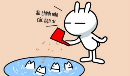 20 STT thả thính bá đạo, hay ho nhất năm 2019 không thể bỏ qua