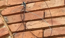 Kiến trúc trường CĐSP Đà Lạt nghi bị tàn phá sau show diễn của Hà Anh Tuấn, đại diện trường nói gì?