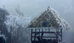 Không khí lạnh tràn về từ chiều tối 15/1, miền Bắc có nơi xuống 8 độ C