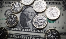 Tỷ giá ngoại tệ 14/1/2019: USD hồi phục