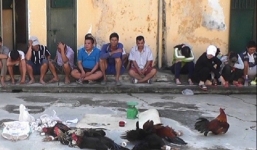 Công an An Giang thông tin chính thức vụ con trai Phó bí thư Tỉnh ủy tổ chức đá gà, đánh bạc