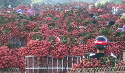 Tin tức kinh doanh 24h mới nhất, nóng nhất ngày 17/1/2019