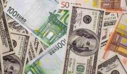 Tỷ giá ngoại tệ 23/1/2019: USD ở mức cao, Euro giảm