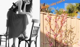 Nghi án sang Mỹ dưỡng thai, Phạm Hương viết: 'Xuân này con không về'