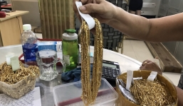 Khởi tố đối tượng trộm ít nhất 455 lượng vàng của chủ tiệm tại Hội An