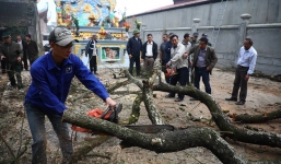 Hà Nội: Chặt hạ cây sưa quý từng được trả giá 100 tỷ đồng ở Hà Nội