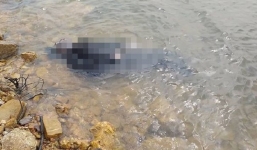 Người đàn ông chết đuối khi đi vào rừng lá dong về gói bánh chưng