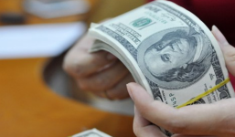 Tỷ giá ngoại tệ 29/1/2019: USD giảm nhanh, chưa thể phục hồi