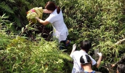 Hy hữu: Chồng đưa đi đẻ bị ngã xuống vực sâu, người phụ nữ sinh con ngay dưới khe núi 