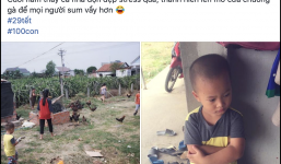 Chuyện hài hước cuối năm: Thấy cả nhà dọn dẹp stress quá, 'thanh niên' 4 tuổi mở chuồng gà hơn 80 con cho mọi người 'sum vầy' hơn