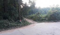 Phát hiện một bộ xương người trong rừng ở Phú Quốc ngày cận Tết