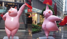 Thêm một chú heo linh vật làm dậy sóng MXH, dân mạng lại tiếc hùi hụi khi biết địa điểm trưng bày