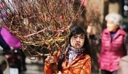 Dự báo thời tiết hôm nay mùng 3 Tết Nguyên đán: Miền Bắc nắng rực rỡ