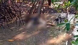 Cà Mau: Bàng hoàng phát hiện thi thể người đàn ông phân hủy mạnh nằm cạnh bìa rừng