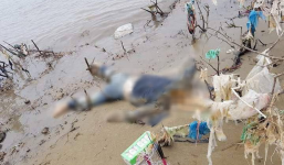 Phát hiện thi thể người phụ nữ đang phân hủy mạnh trôi dạt bờ biển Thanh Hóa