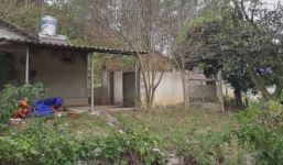 Nữ sinh giao gà bị sát hại: Vợ bàng hoàng vì chồng bị triệu tập