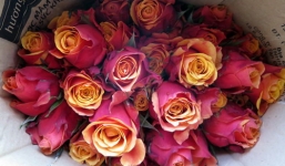 Góc cảnh báo: Chàng trai ngậm ngùi bỏ ra hơn 1 triệu nhận về bó hoa khô dịp Valentine