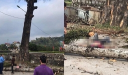 Nam thanh niên bị cành cây gạo rơi trúng tử vong tại chỗ