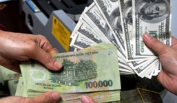 Tỷ giá ngoại tệ 15/2/2019: USD treo cao, tăng 14 đồng so với phiên trước