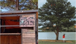 'Cây thông cô đơn' nổi tiếng ở Đà Lạt bất ngờ bị chặn thu phí vào cửa khiến dân mạng nổi điên