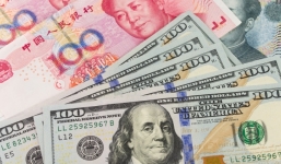 Tỷ giá ngoại tệ 18/2/2019: USD giảm mạnh