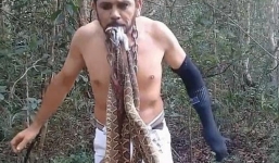 Nhà bảo vệ môi trường liều mạng ngậm 6 con rắn độc trong miệng