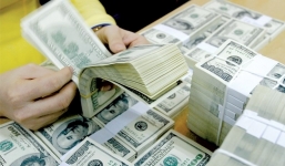 Tỷ giá ngoại tệ 20/2/2019: Giá USD tiếp tục giảm mạnh