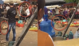 Thương tâm cảnh chó mẹ đang nuôi 5 con nhỏ chạy vào chợ bị ném đá đến chết