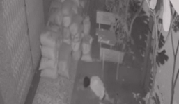 Tên trộm quỳ lạy trước cửa nhà gia chủ sau khi lấy được đồ