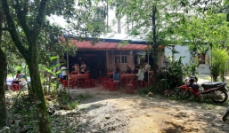 Đi lấy mật, Chủ tịch hội chữ thập đỏ bị ong đốt tử vong