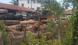 Một chiến sĩ công an tử vong khi trông coi kho gỗ lậu của trùm Phượng 'râu'