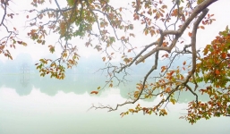 Thời tiết hôm nay 27/2: Hà Nội ấm lên trong ngày thượng đỉnh Mỹ - Triều