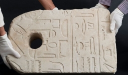 Đang bơi ở biển, người đàn ông vô tình phát hiện được vật thể kỳ lạ