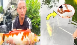 Anh em Tam Mao mất cả núi tiền chơi cá Koi, pha xử lý hậu quả mới thực sự đẳng cấp