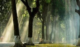 Dự báo thời tiết 10 ngày tới trên cả nước thời hạn từ ngày 30/8-9/9: Bắc và Trung Bộ mưa rào và dông