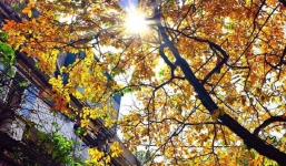 Dự báo thời tiết 10 ngày tới trên cả nước thời hạn từ ngày 1-11/9: Trời Thu mát mẻ dễ chịu