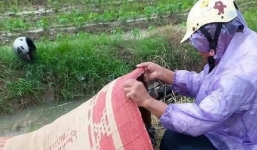 Hải Phòng: Xót xa vụ 2 người đi xe máy về quê nghỉ lễ bị sét đánh trúng 