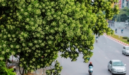 Dự báo thời tiết 10 ngày tới trên cả nước thời hạn từ 8-18/10: Không khí lạnh tràn về