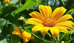 Dự báo thời tiết 10 ngày tới trên cả nước thời hạn từ 23/11-3/12: Không khí lạnh tràn về