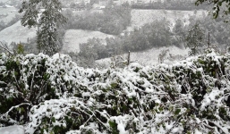 Tin không khí lạnh: Trời rét căm căm khả năng mưa tuyết, nhiệt độ có nơi thấp nhất dưới 3 độ C