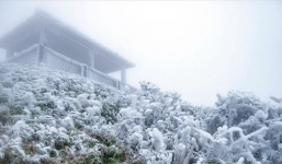 Bắc Bộ nhiệt độ giảm mạnh có nơi xuống 2 độ, rét cả tuần: Cảnh báo sương muối, băng giá