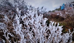 Không khí lạnh tiếp tục tăng cường xuống Bắc Bộ, rét hại có nơi xuống dưới 2 độ