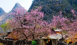 Dự báo thời tiết hôm nay và 10 ngày tới trên cả nước từ 2-12/1: Bắc Bộ lạnh giá, có nơi rét đậm