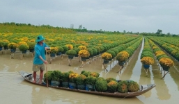 “Thủ phủ hoa” lớn nhất miền Tây vào xuân