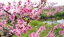 Dự báo thời tiết hôm nay và 10 ngày trước Tết Nguyên đán 2023: Đêm và sáng trời rét, có mưa phùn